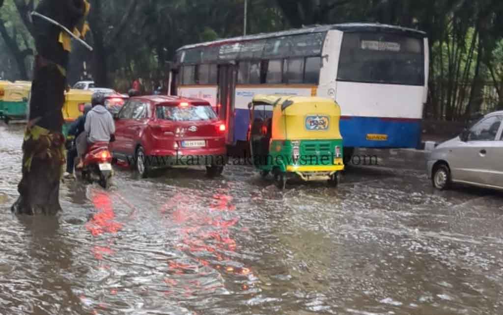 RAIN IN THE CITY